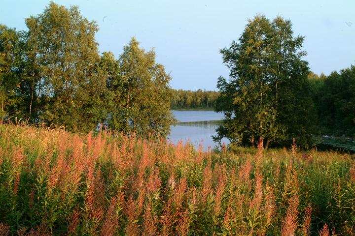 DSCF0656
