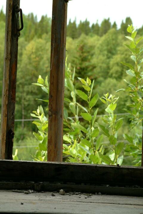 DSCF0277