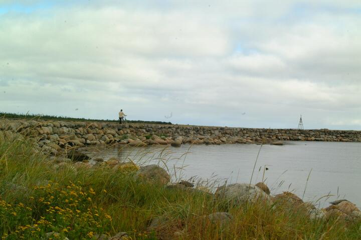 DSCF0286