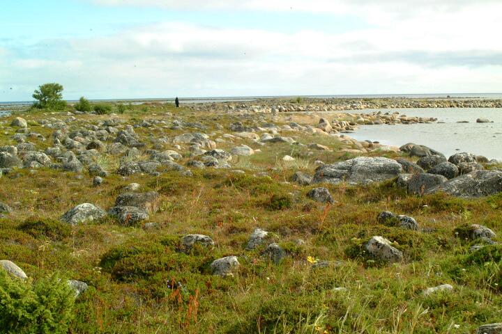 DSCF0296