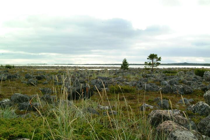 DSCF0297