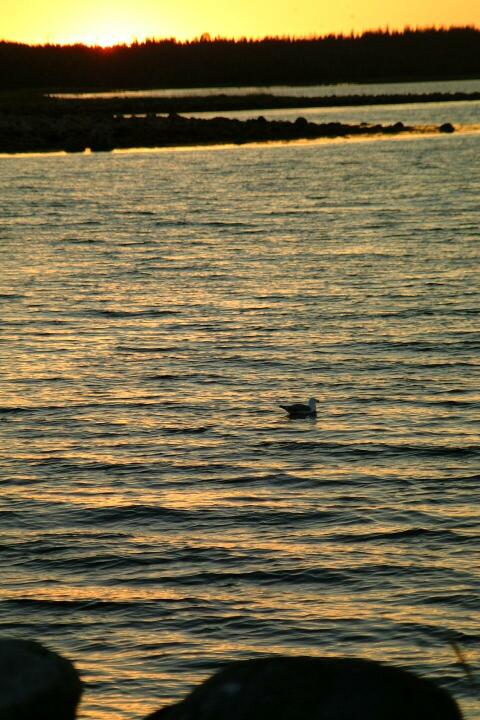 DSCF0333