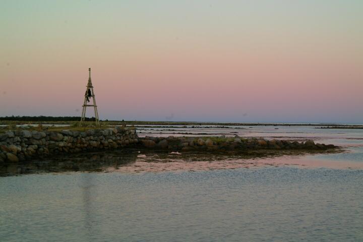 DSCF0335