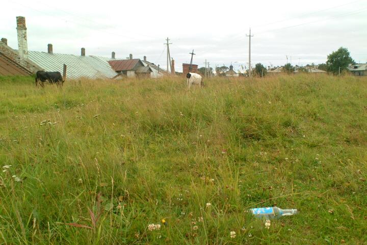 DSCF0225