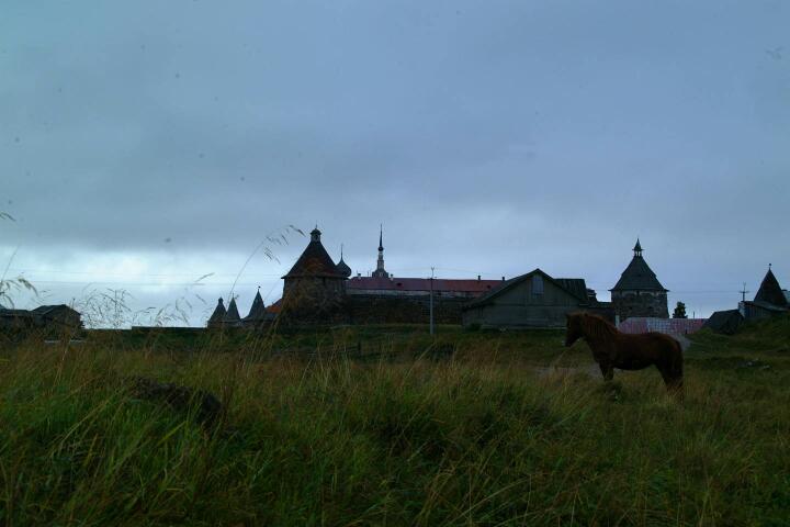 DSCF0467