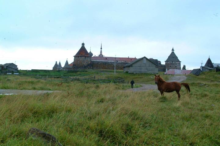 DSCF0468