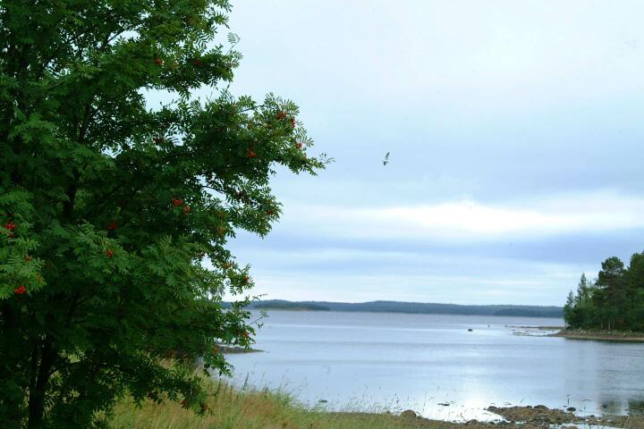 DSCF0495