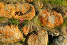 DSCF0242