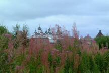DSCF0488