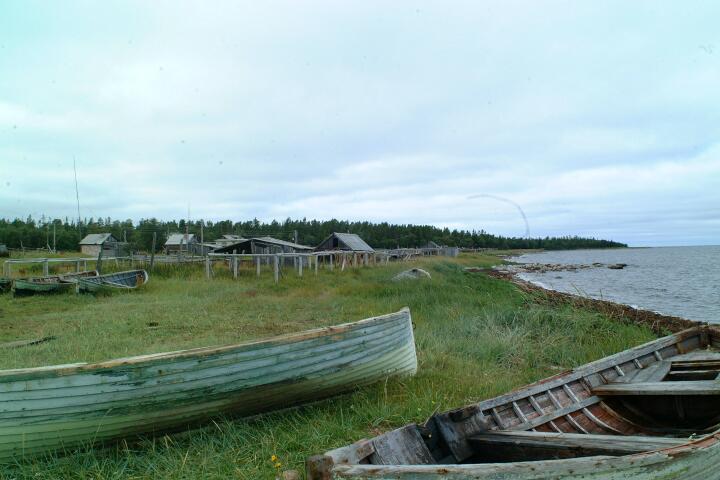 DSCF0504