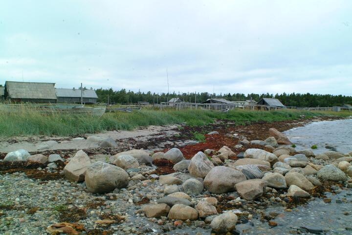 DSCF0505