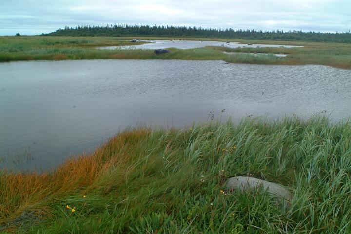 DSCF0514