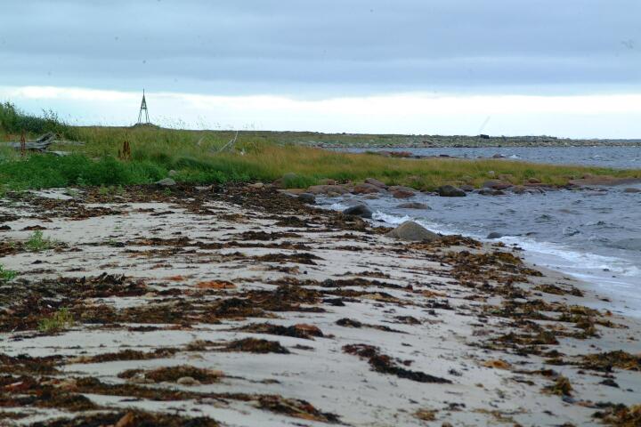 DSCF0517