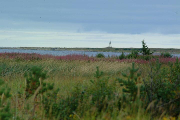 DSCF0519